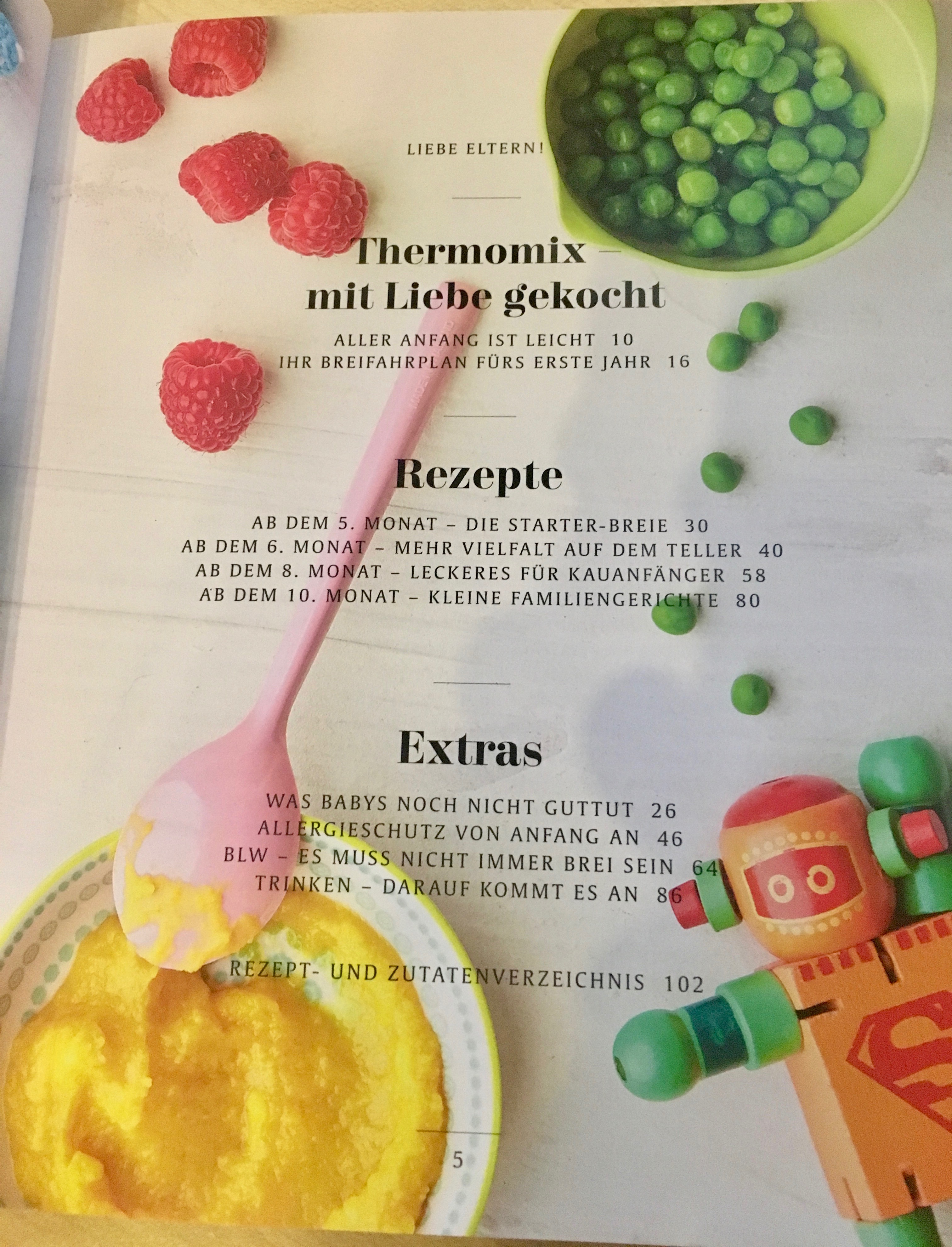 Inhalt Brei aus dem Thermomix