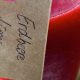 Thermomix, Vorwerk, Tm5, Erdbeeren, Lecker, Wodka, Trinken, Feiern, Prost, Erdbeere