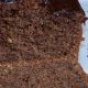 Veganer Bananenkuchen aus dem Thermomix